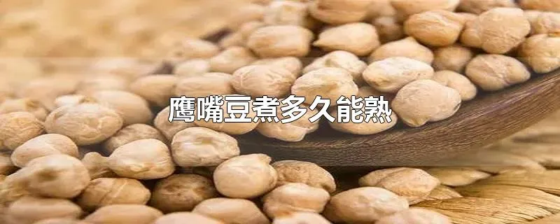 鹰嘴豆煮多久能熟