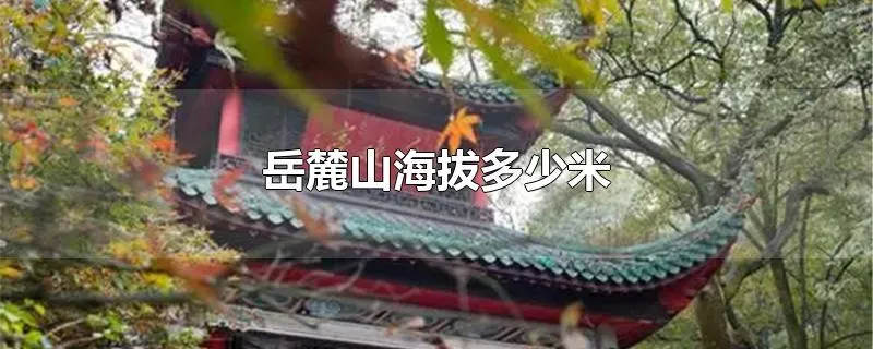 岳麓山海拔多少米