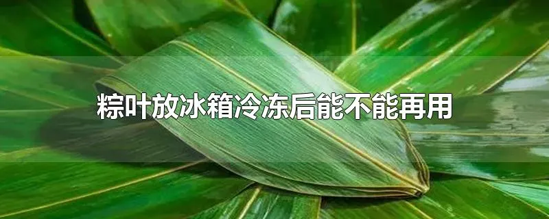 粽叶放冰箱冷冻后能不能再用