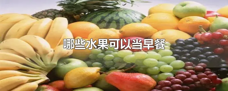 哪些水果可以当早餐