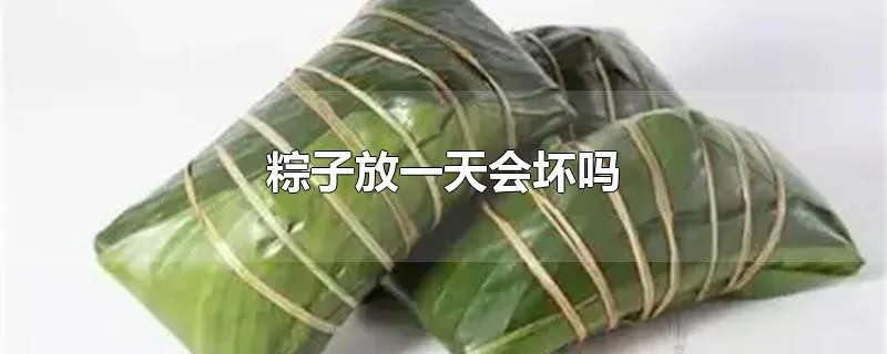 粽子放一天会坏吗