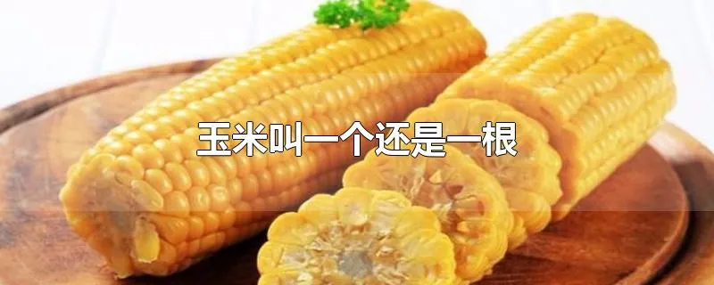 玉米叫一个还是一根