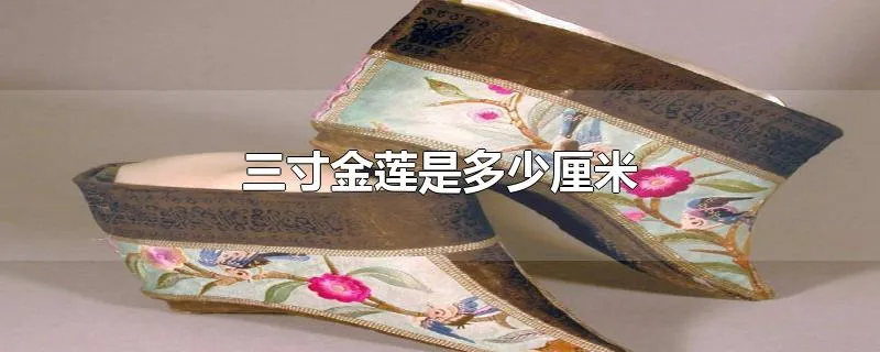 三寸金莲是多少厘米