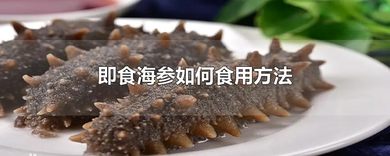 即食海参如何食用方法