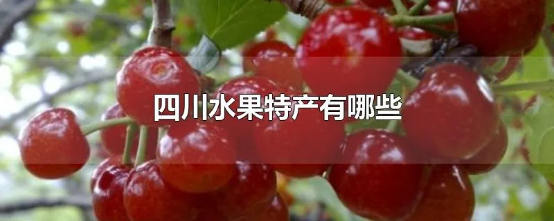 四川水果特产有哪些
