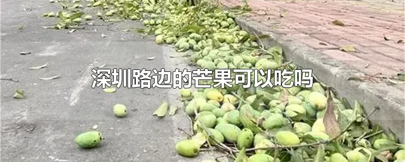 深圳路边的芒果可以吃吗