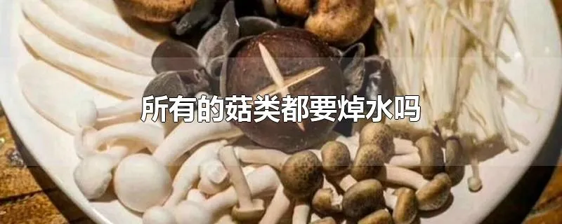 所有的菇类都要焯水吗