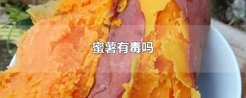 蜜薯有毒吗