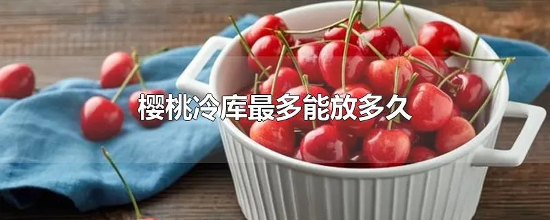 樱桃冷库最多能放多久