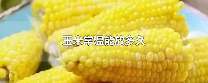 玉米常温能放多久