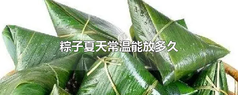 粽子夏天常温能放多久