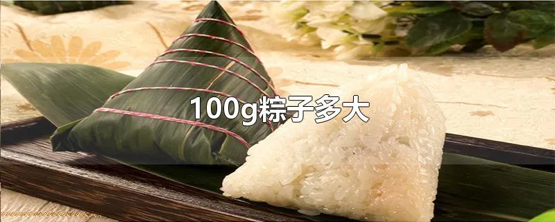 100g粽子多大