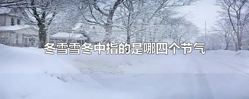 冬雪雪冬中指的是哪四个节气