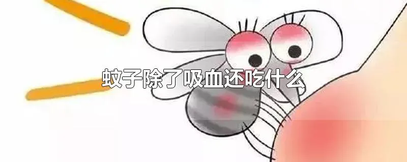 蚊子除了吸血还吃什么