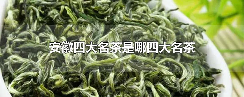 安徽四大名茶是哪四大名茶