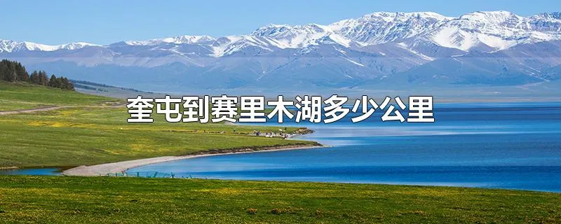 奎屯到赛里木湖多少公里