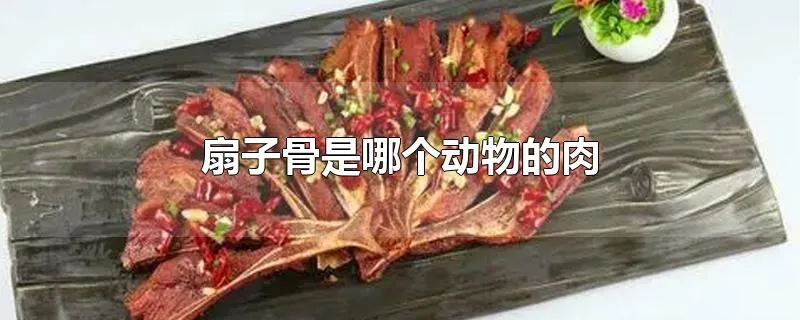 扇子骨是哪个动物的肉