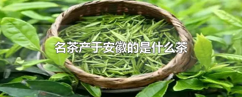 名茶产于安徽的是什么茶