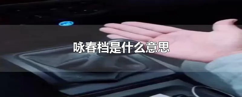 咏春档是什么意思