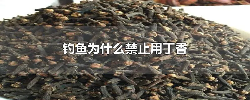 钓鱼为什么禁止用丁香