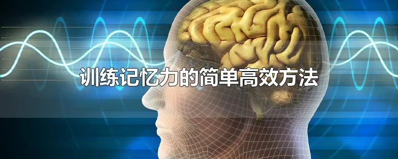 训练记忆力的简单高效方法