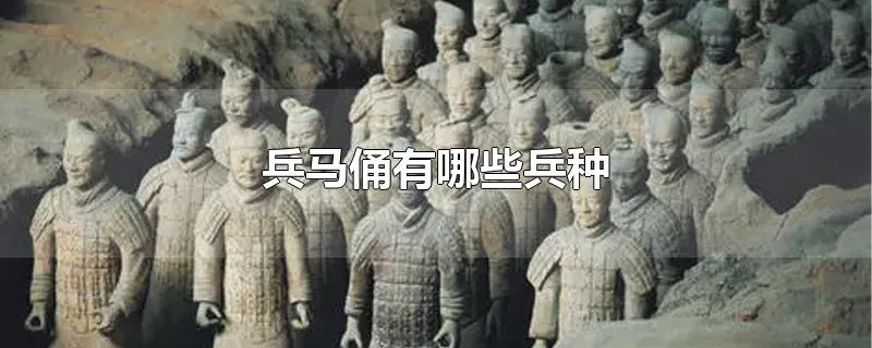 兵马俑有哪些兵种