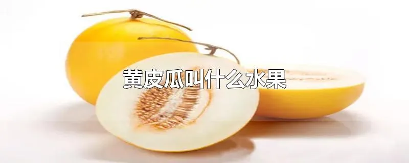 黄皮瓜叫什么水果