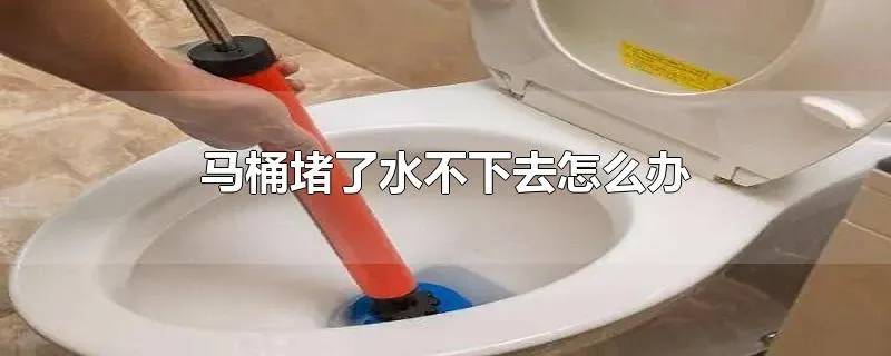 马桶堵了水不下去怎么办