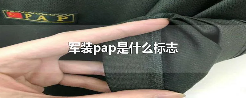 军装pap是什么标志