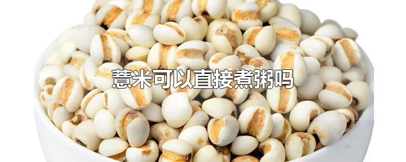 薏米可以直接煮粥吗