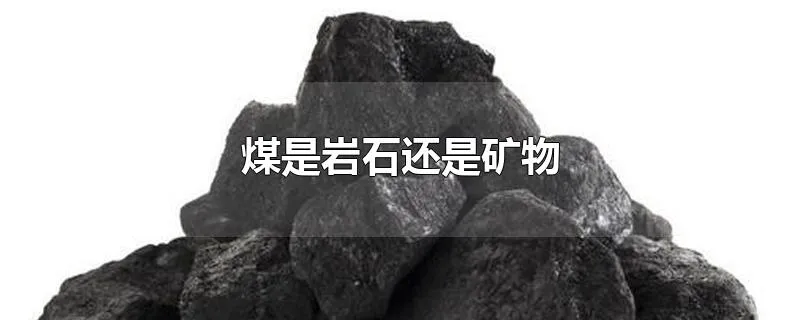 煤是岩石还是矿物