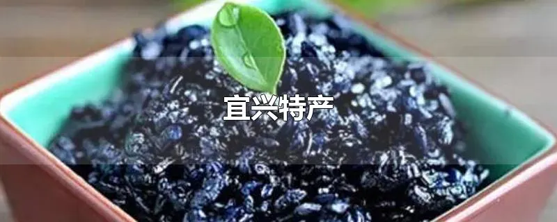 宜兴特产