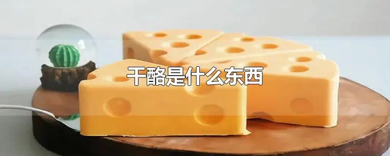 干酪是什么东西