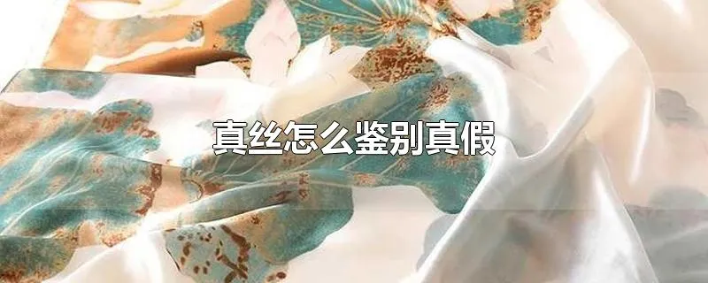 真丝怎么鉴别真假