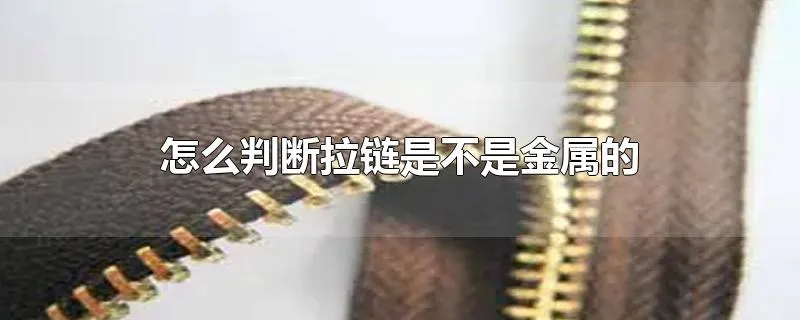 怎么判断拉链是不是金属的