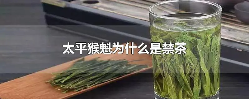 太平猴魁为什么是禁茶