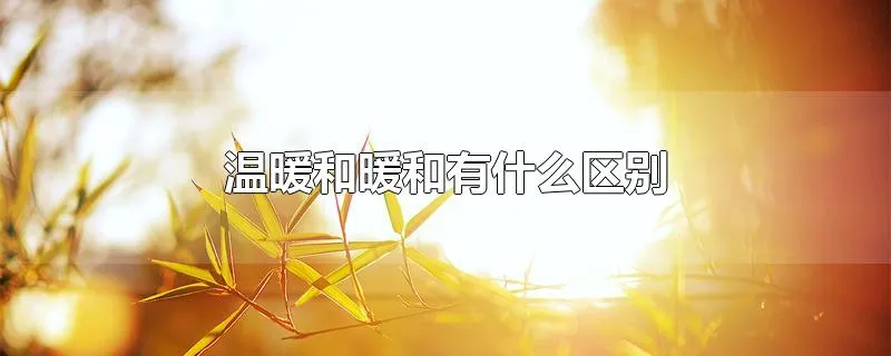 温暖和暖和有什么区别