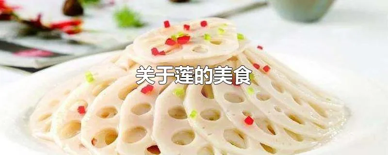 关于莲的美食