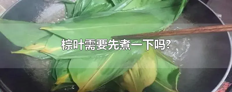 棕叶需要先煮一下吗?