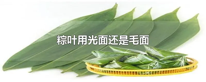 粽叶用光面还是毛面