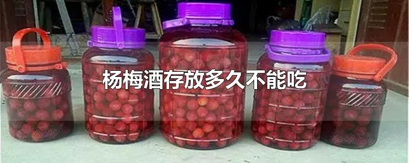 杨梅酒存放多久不能吃