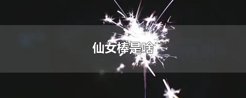 仙女棒是啥