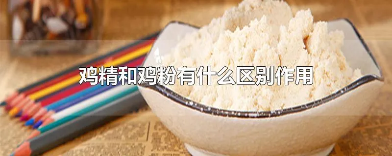 鸡精和鸡粉有什么区别作用