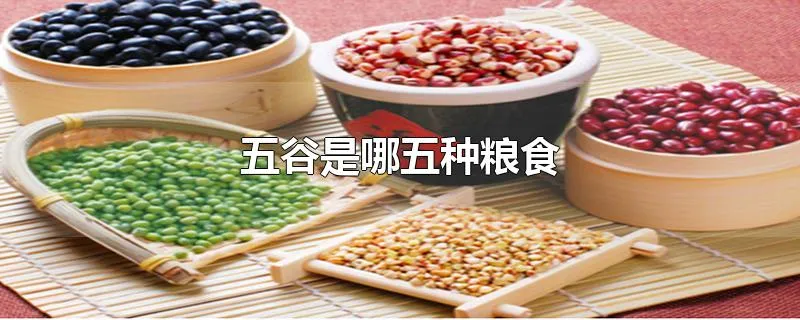 五谷是哪五种粮食