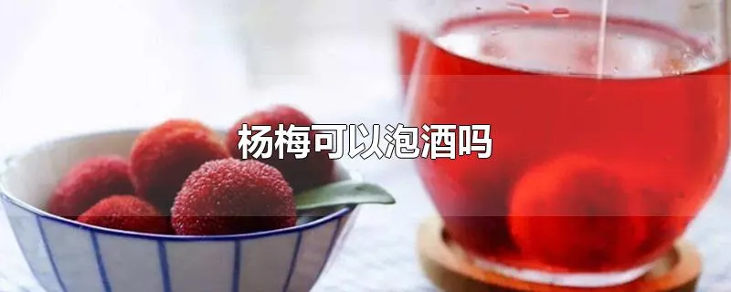 杨梅可以泡酒吗