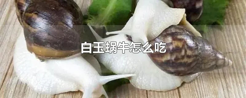 白玉蜗牛怎么吃