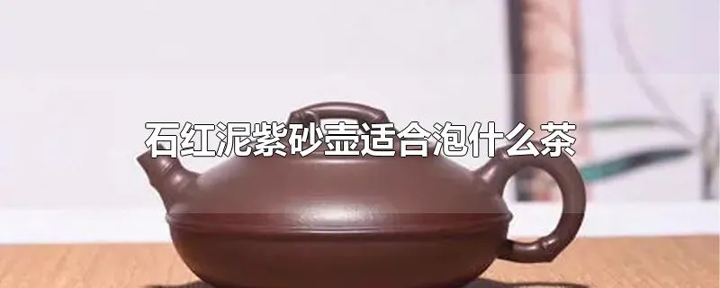 石红泥紫砂壶适合泡什么茶