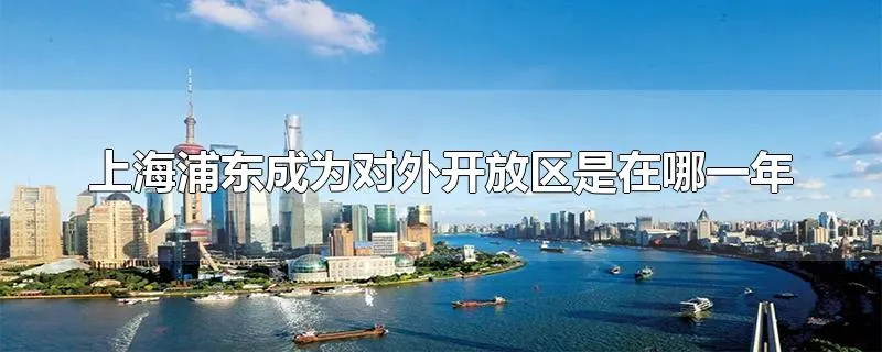 上海浦东成为对外开放区是在哪一年
