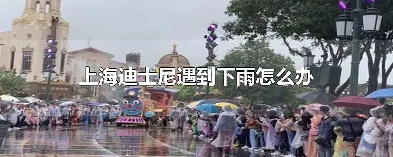 上海迪士尼遇到下雨怎么办