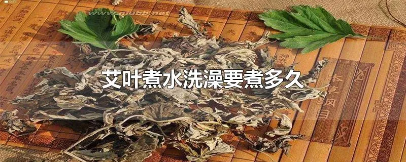 艾叶煮水洗澡要煮多久